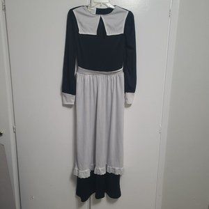 California Costumes Adult Women's Pilgrim Costume, Dress only, Size small